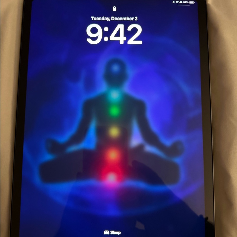 iPad Pro 11 Inch 4th Gen 256GB - WiFi & Cellular